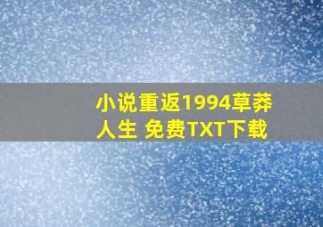 小说重返1994草莽人生 免费TXT下载